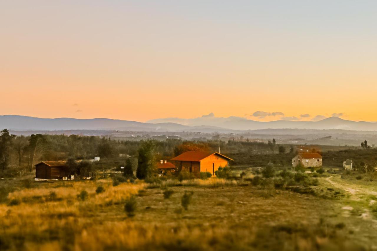 Vila Da Laje - Onde A Natureza O Envolve - Serra Da Estrela Оливейра ду Оспитал Екстериор снимка