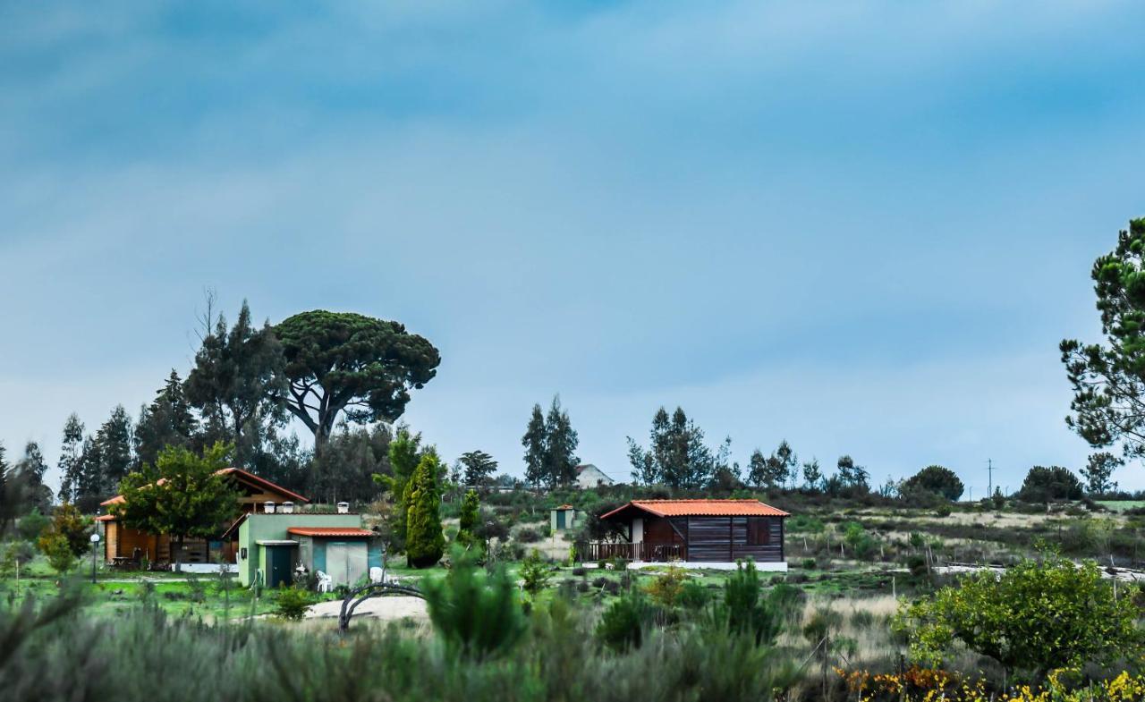 Vila Da Laje - Onde A Natureza O Envolve - Serra Da Estrela Оливейра ду Оспитал Екстериор снимка