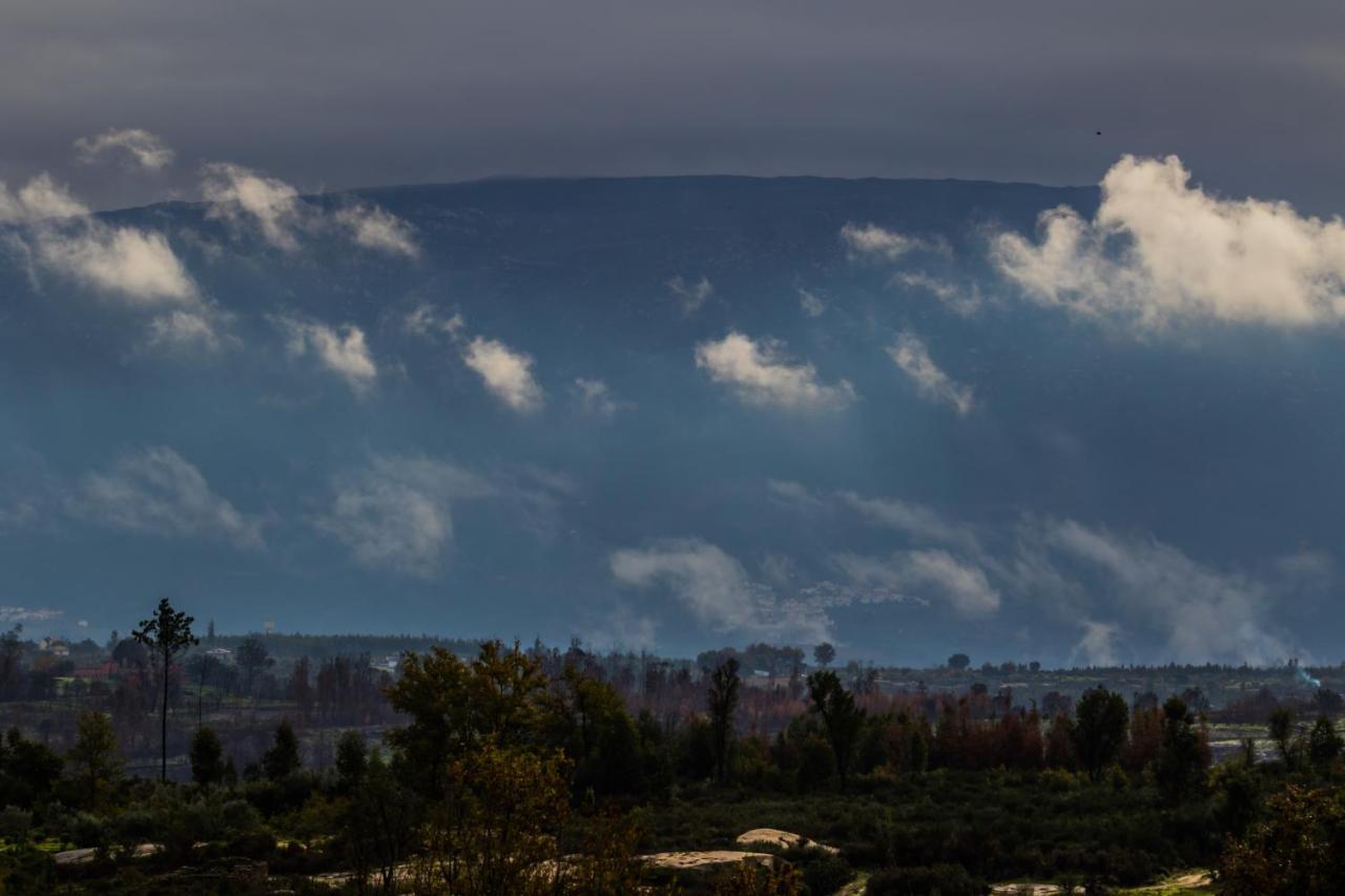 Vila Da Laje - Onde A Natureza O Envolve - Serra Da Estrela Оливейра ду Оспитал Екстериор снимка