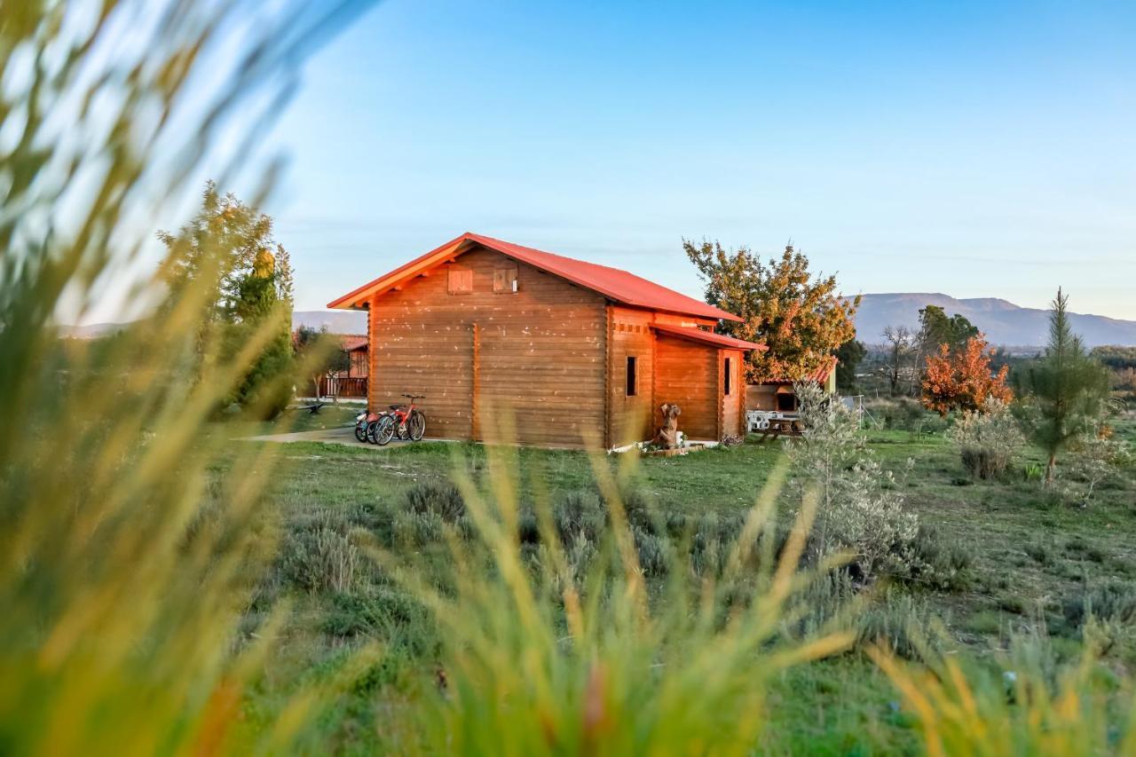 Vila Da Laje - Onde A Natureza O Envolve - Serra Da Estrela Оливейра ду Оспитал Екстериор снимка