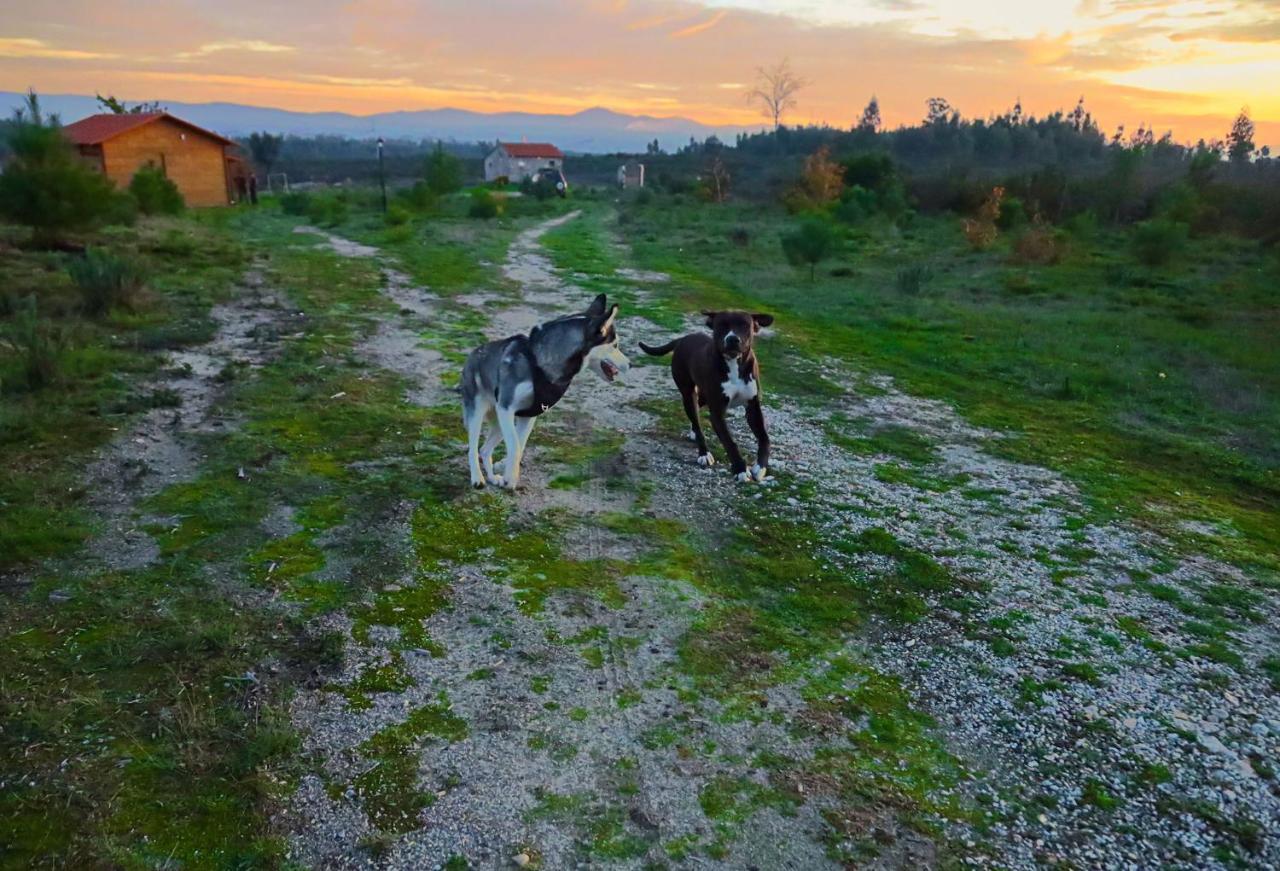 Vila Da Laje - Onde A Natureza O Envolve - Serra Da Estrela Оливейра ду Оспитал Екстериор снимка