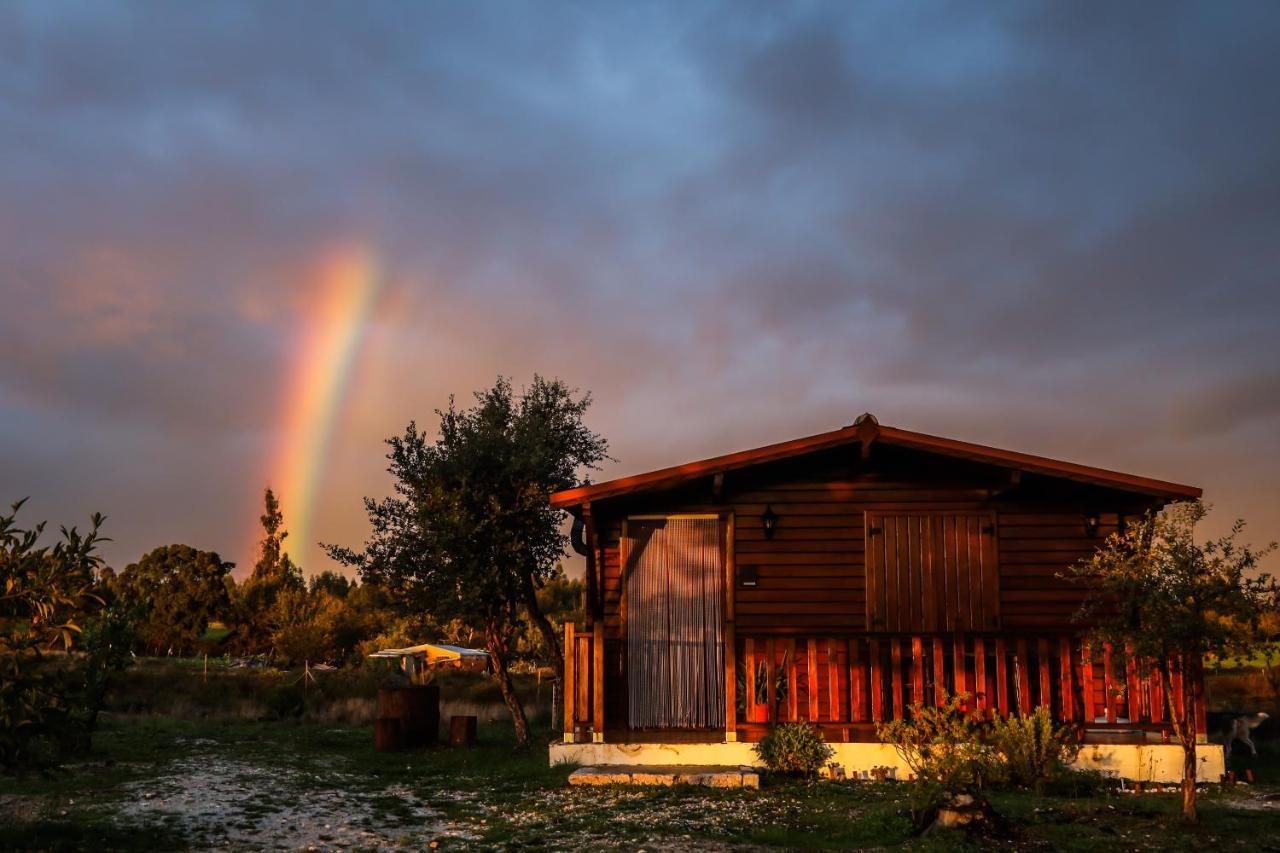 Vila Da Laje - Onde A Natureza O Envolve - Serra Da Estrela Оливейра ду Оспитал Екстериор снимка