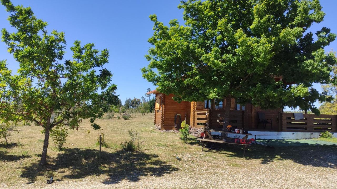 Vila Da Laje - Onde A Natureza O Envolve - Serra Da Estrela Оливейра ду Оспитал Екстериор снимка